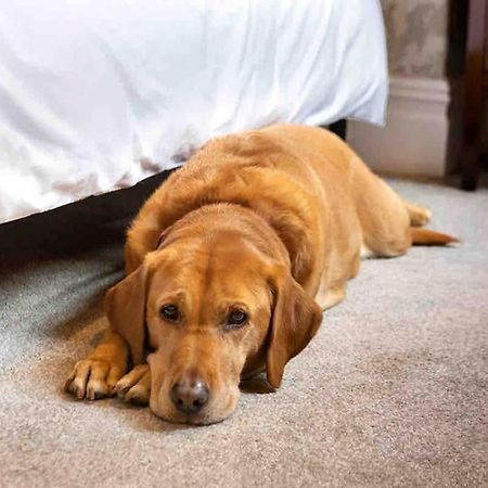 The Stanley Suite 1 Bedroom Apt Dog Friendly Patio هاروغايت المظهر الخارجي الصورة